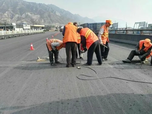 林口道路桥梁病害治理